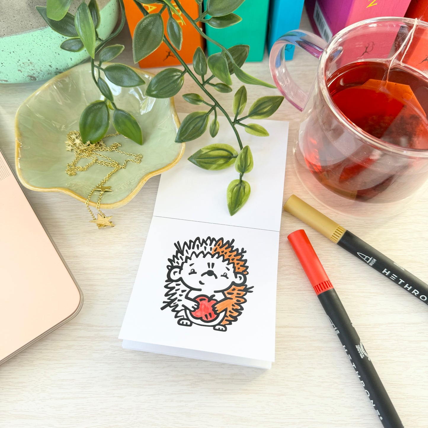 Back-to-School Bundle