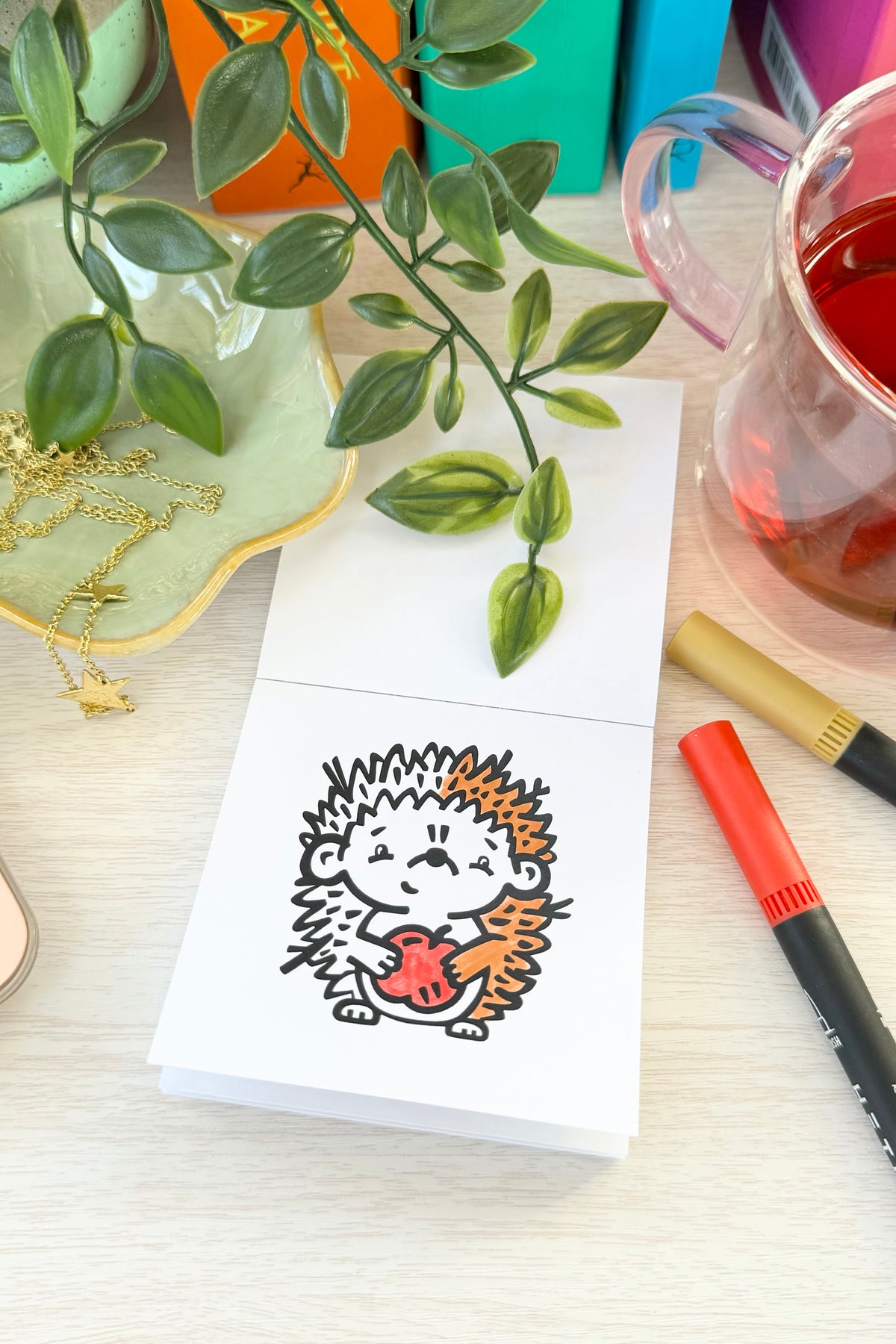 Adult Coloring Kit with 18 Markers