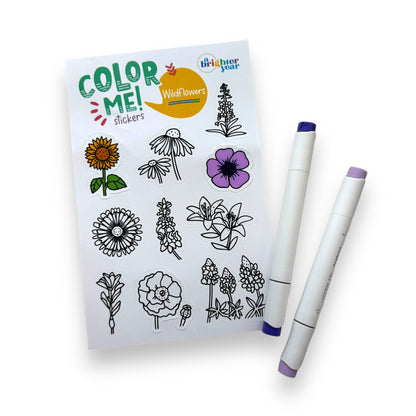 Tiny Texas Color-Your-Own Sticker Bundle, 3-Pack