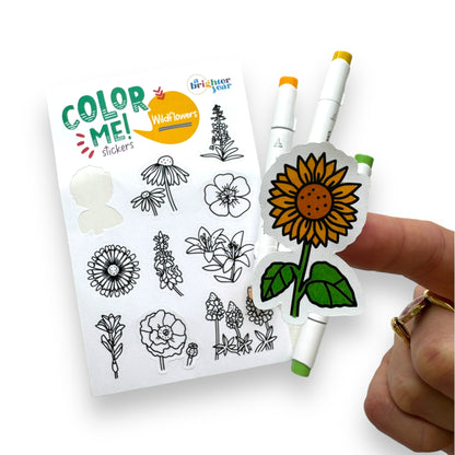 Tiny Texas Color-Your-Own Sticker Bundle, 3-Pack