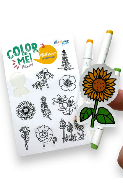 Color You Own Tiny Texas Creative Activity Bundle
