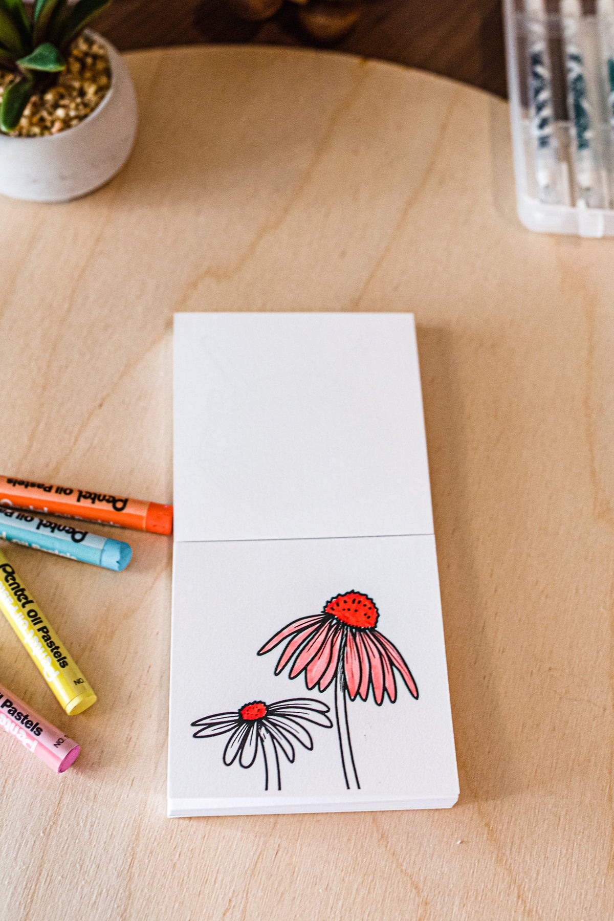 Color You Own Tiny Texas Creative Activity Bundle
