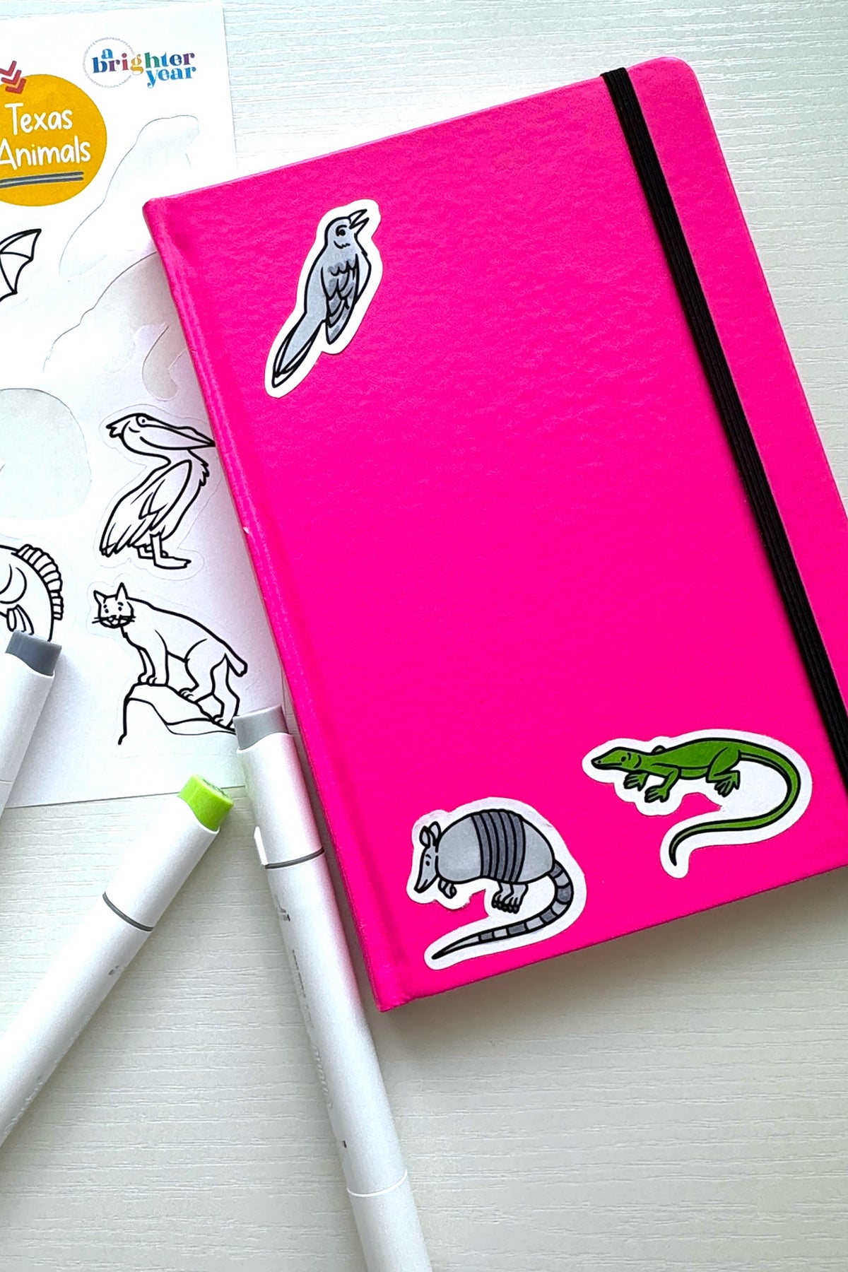 Color You Own Tiny Texas Creative Activity Bundle