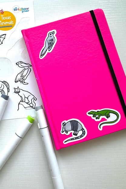 Color You Own Tiny Texas Creative Activity Bundle