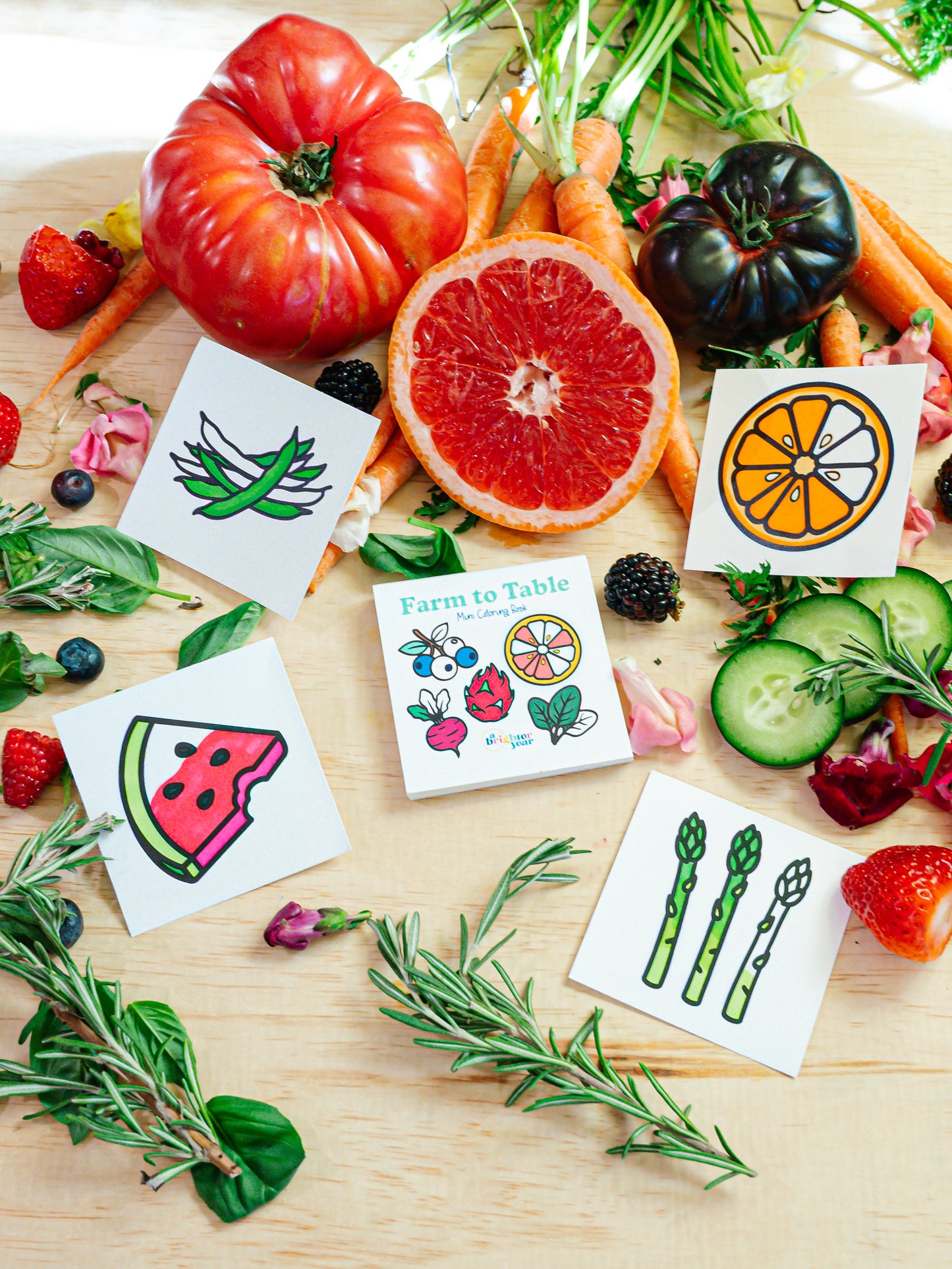 Foodie Files Mini Coloring Book Bundle