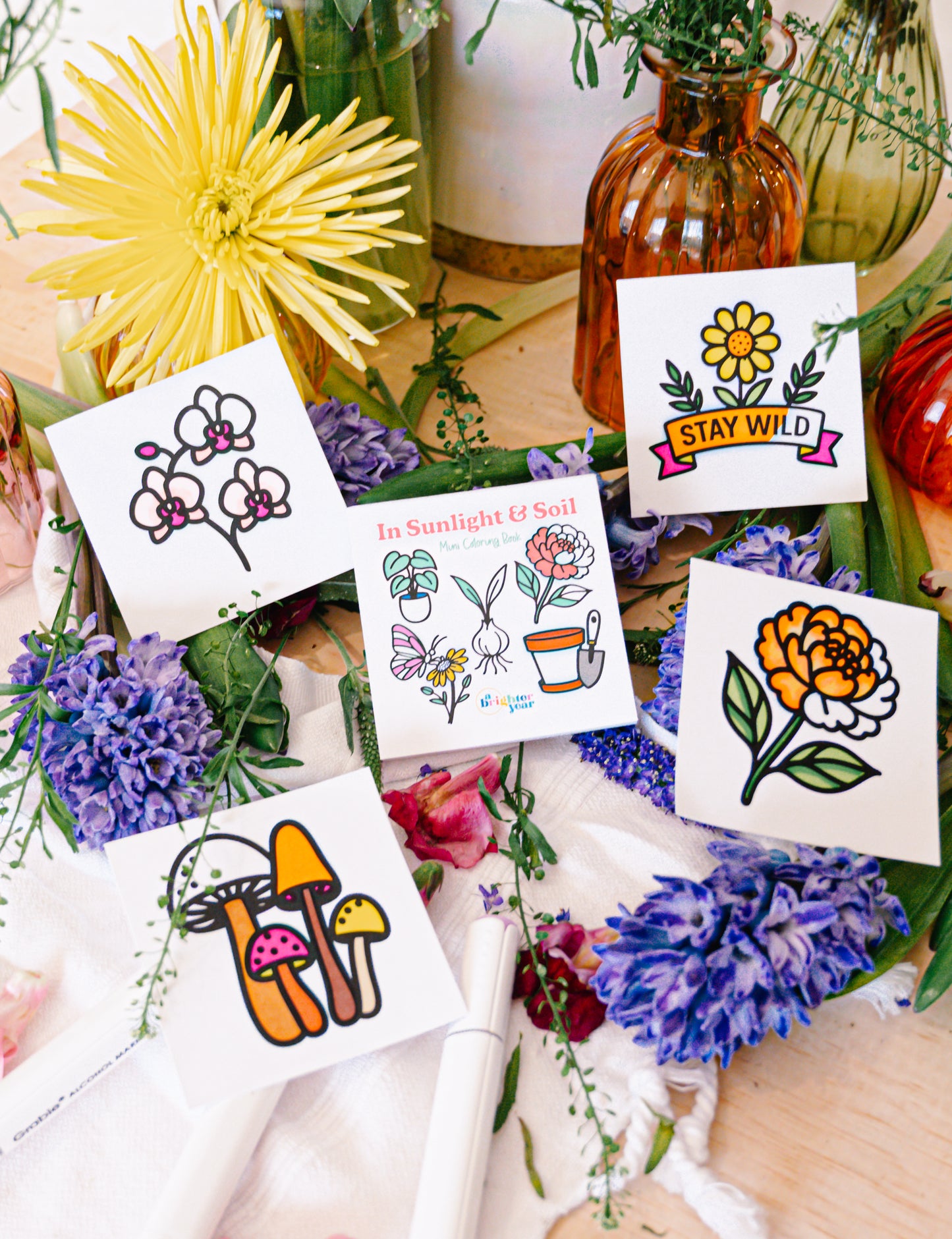 In Sunlight & Soil Mini Coloring Book