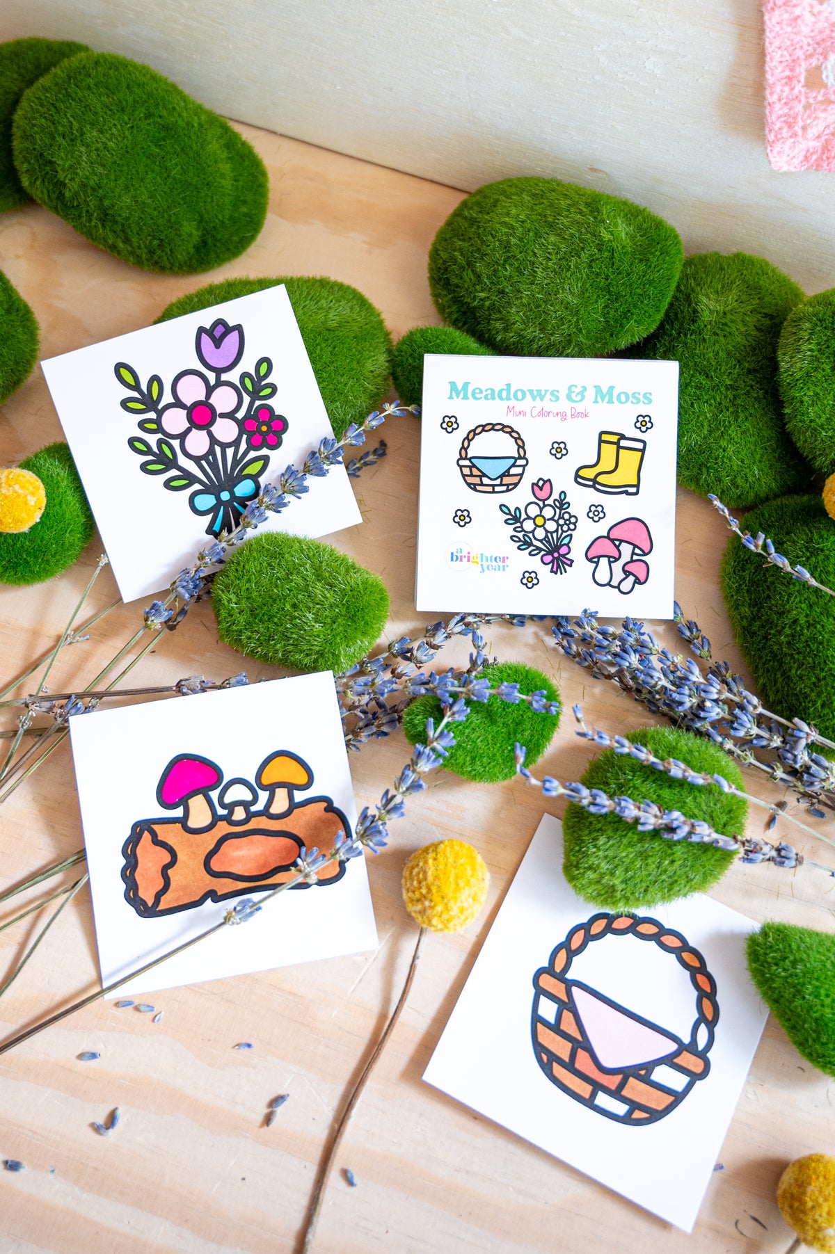Meadows & Moss Mini Coloring Book