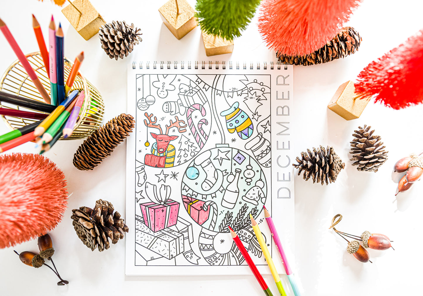 18 Month Color by Day Coloring Book