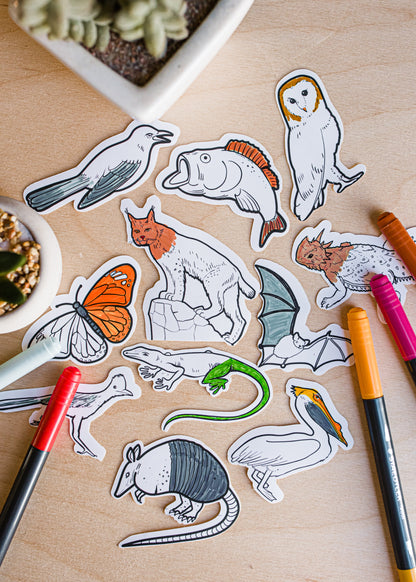 Color Your Own Texas Wildlife Stickers